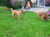 Klik op de foto voor groter formaat